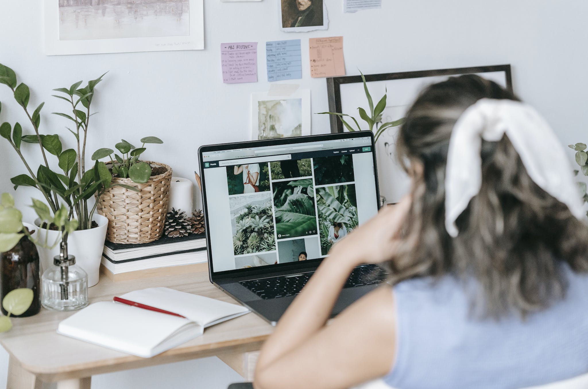 Woman sitting at table and searching images on laptop